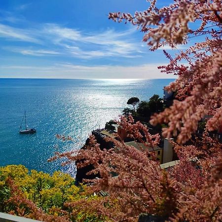 Maison Exotique - Riomaggiore / Cinque Terre / Beach Travel 外观 照片
